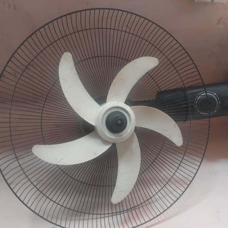 Fan