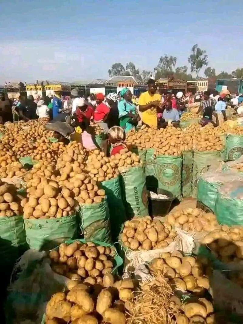 FRESH POTATOES AVAILABLE! 🥔