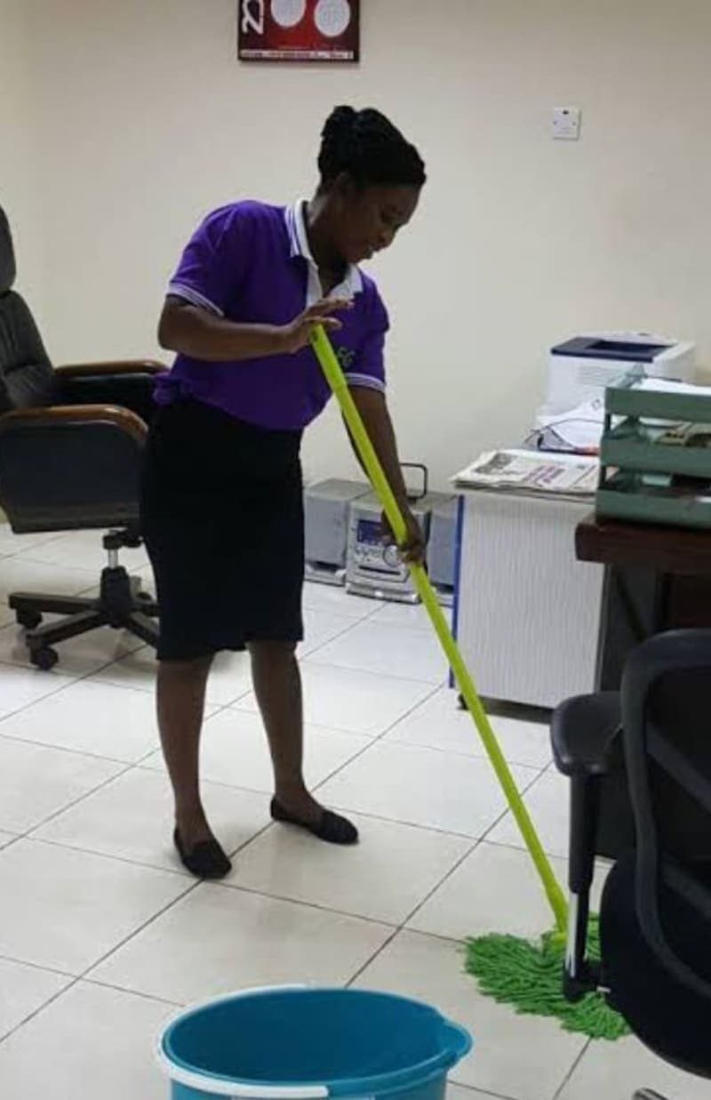 Professional Cleaning Services