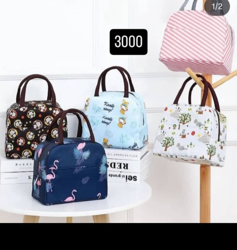 Insulated Lunch bag