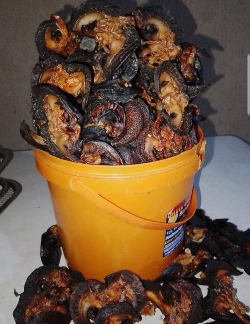 Oven dried snails