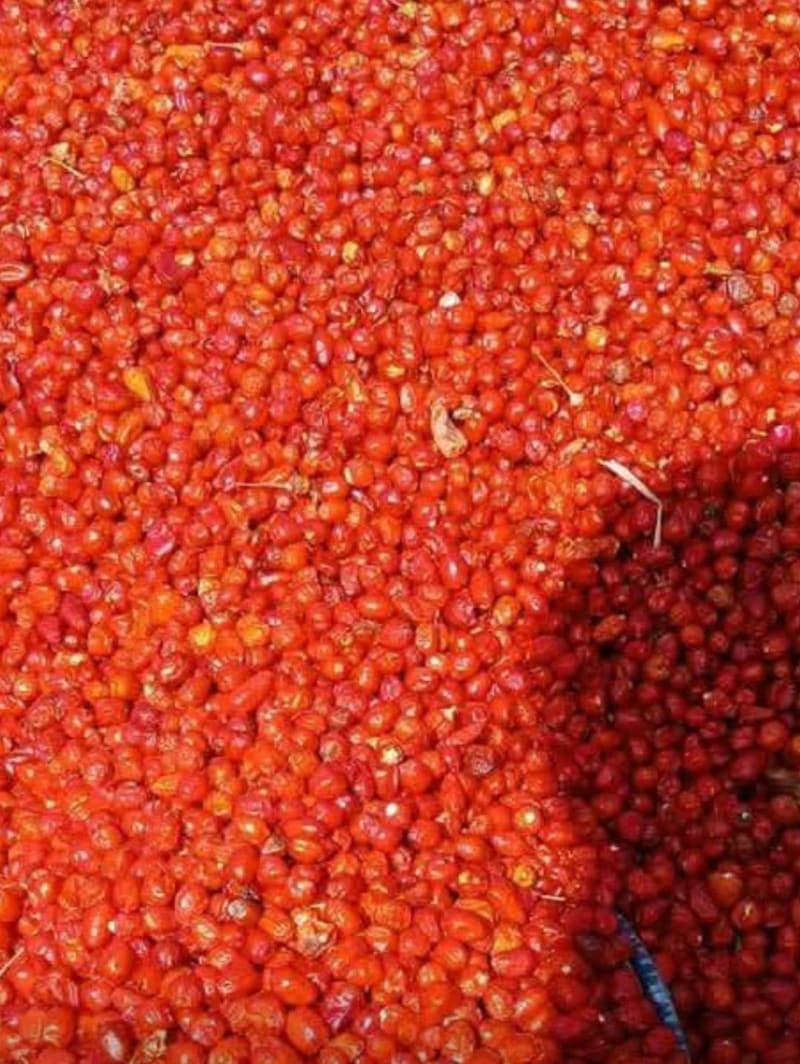 Organic Agro Foods: Farm-Fresh, Healthy & Sustainable
