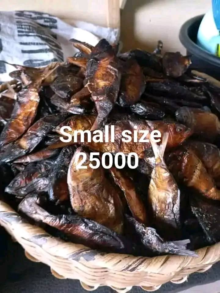 FRESH Dry Fish, Obono, Yam, Egusi & Garri