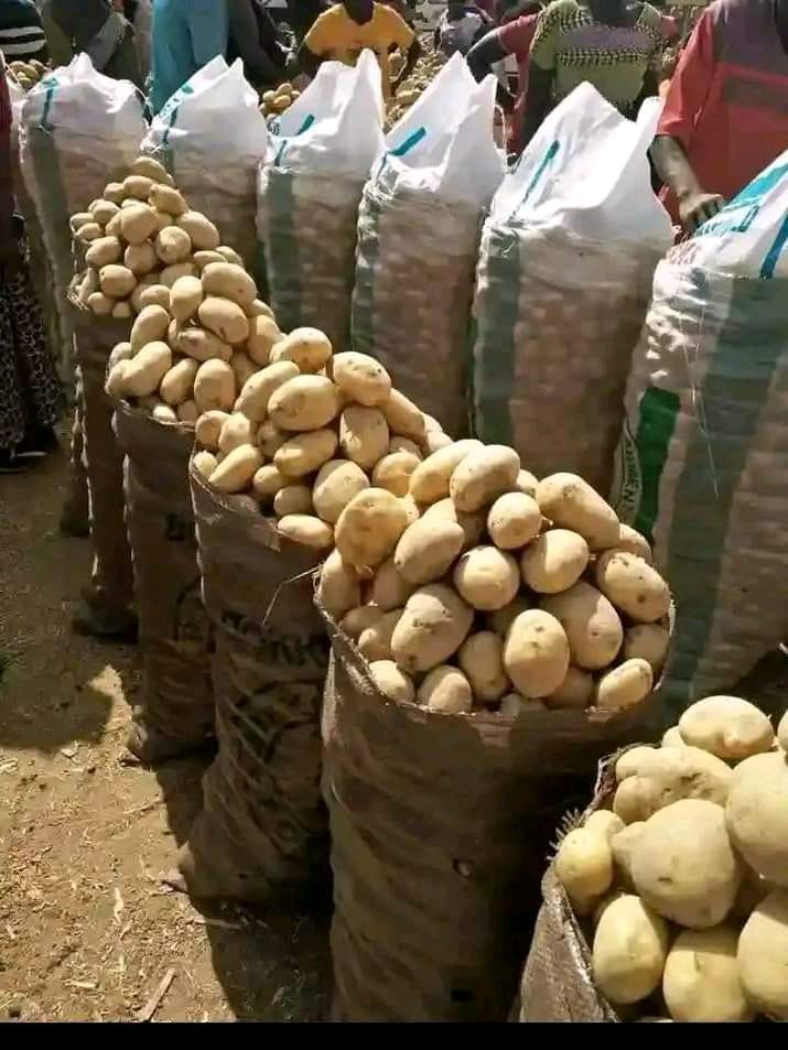 FRESH POTATOES AVAILABLE! 🥔