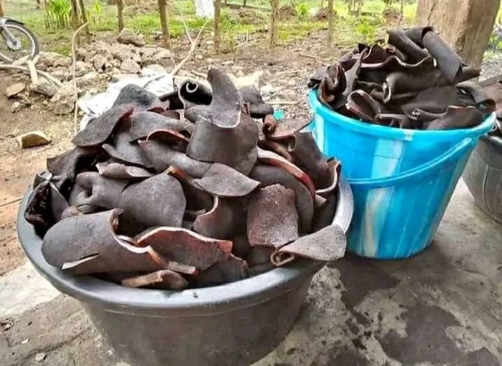 Cow skin (ponmo)