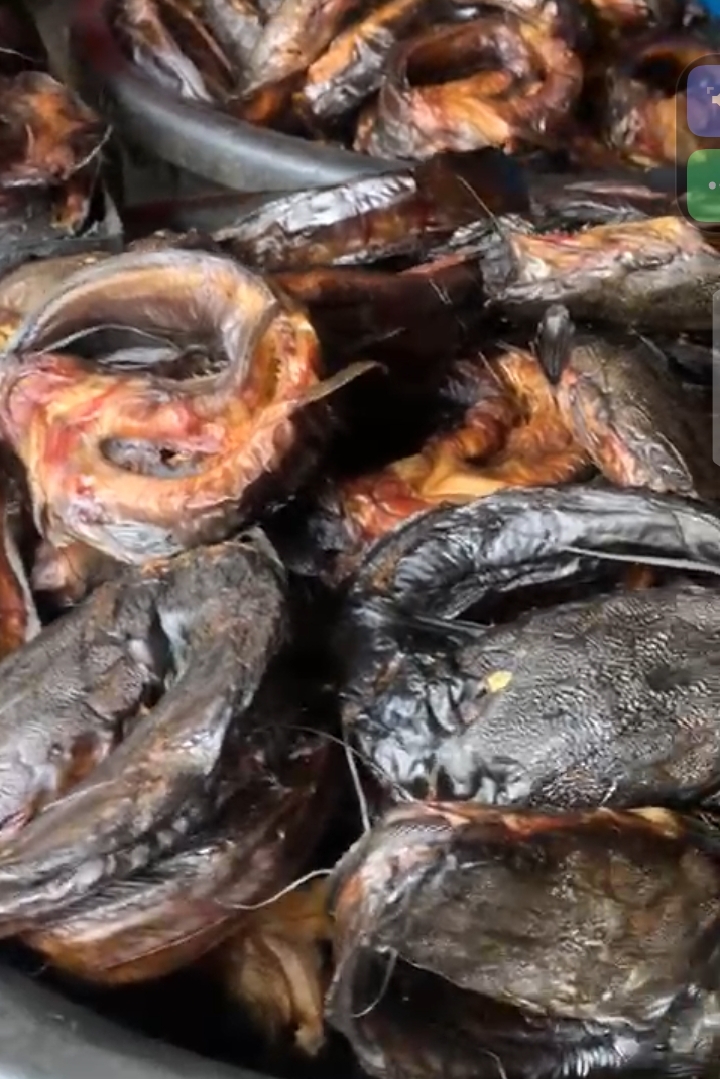 Oven dried catfish