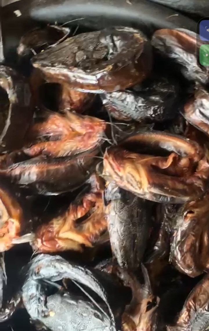 Oven dried catfish