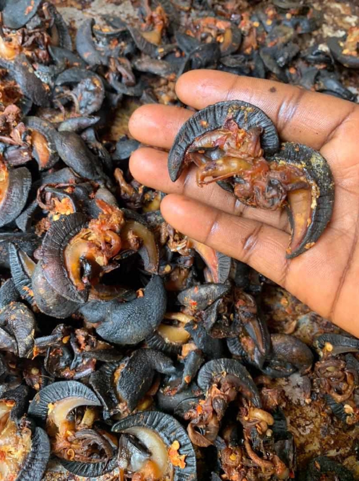 Oven dried snails