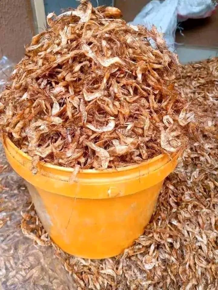 Dried Crayfish