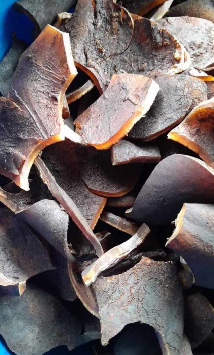 Cow skin (ponmo)