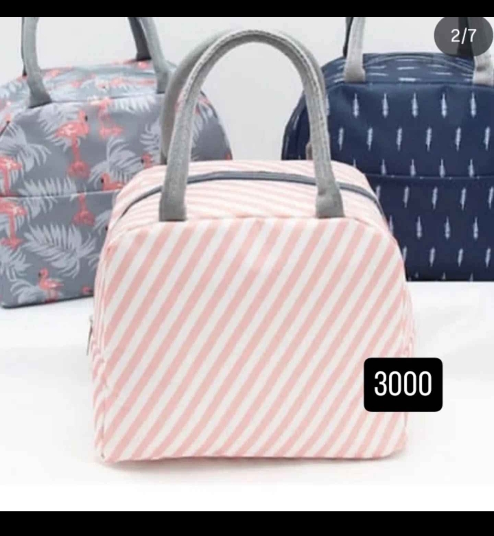 Insulated Lunch bag