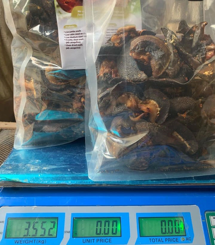 Oven dried snails