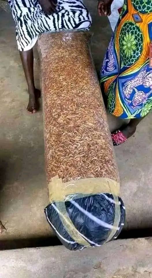Dried Crayfish
